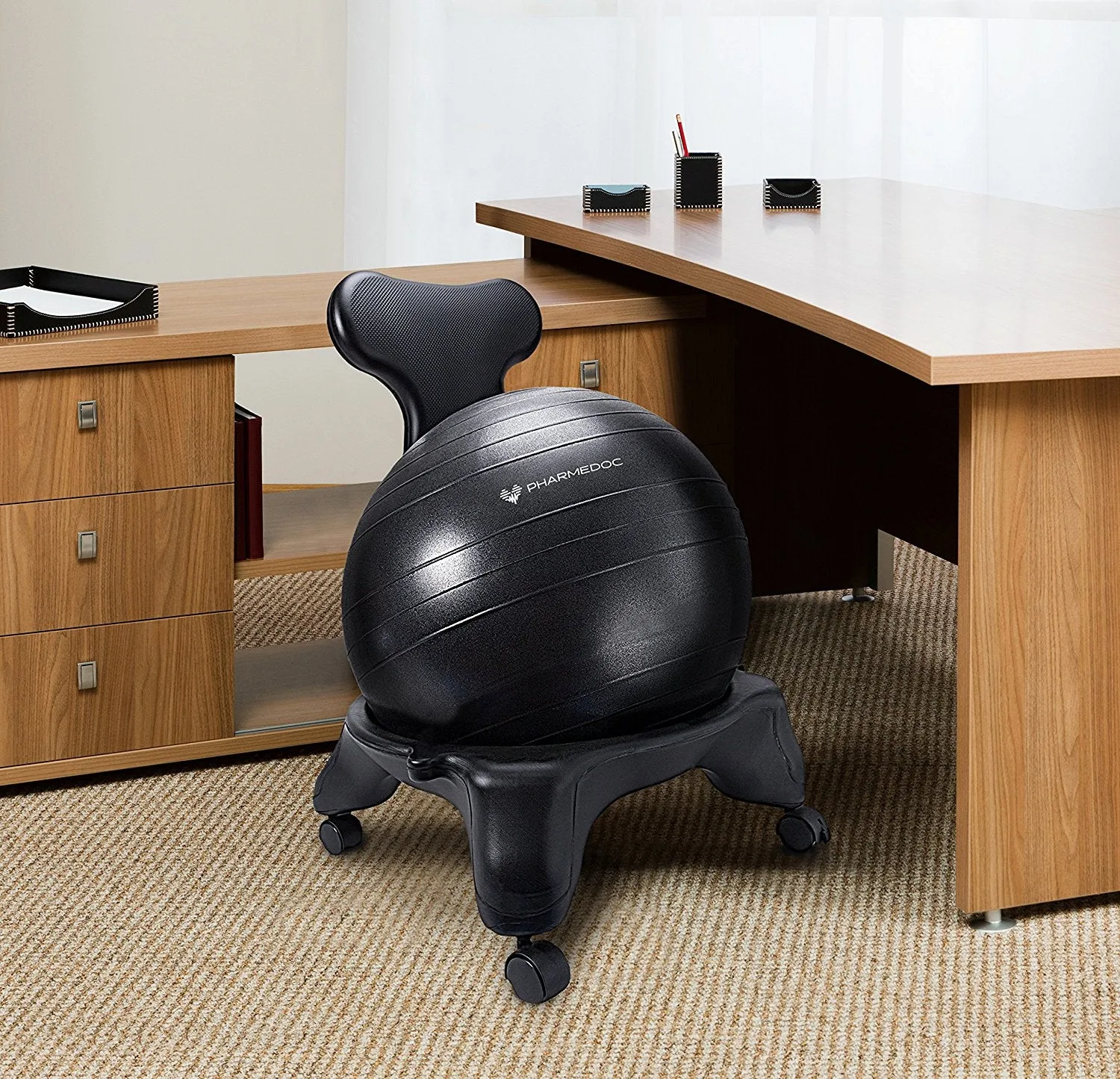 Balance Ball Chair