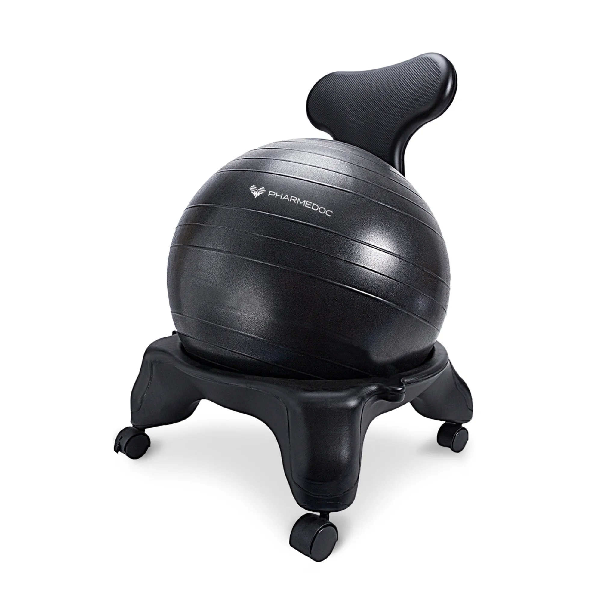 Balance Ball Chair