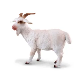 Billy Goat