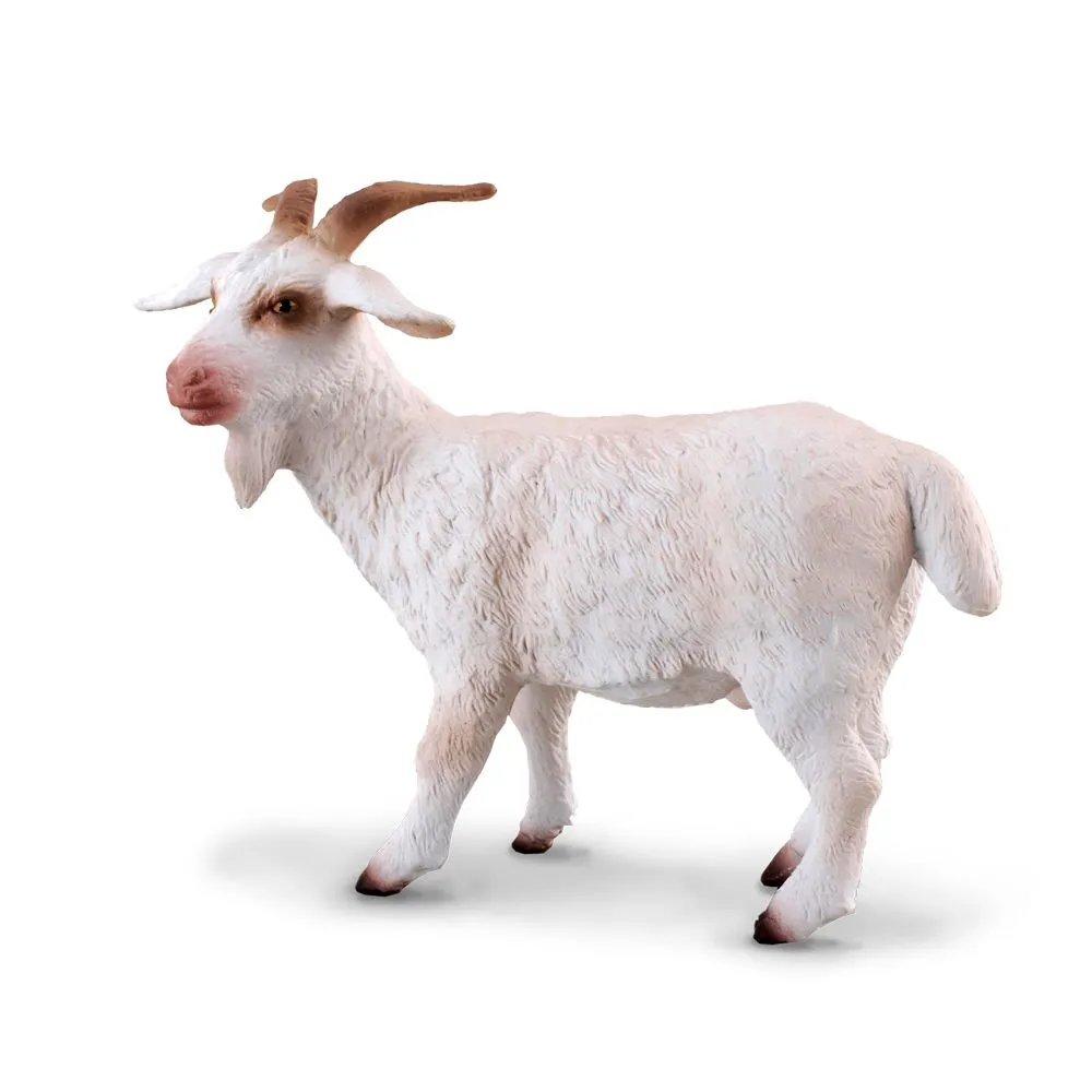 Billy Goat