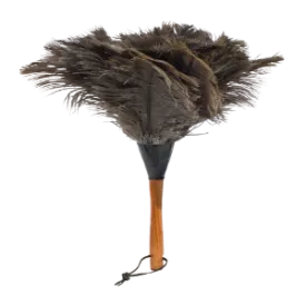 Feather Duster Small