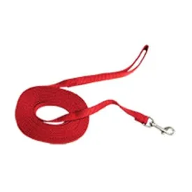 Hamilton Nylon Lead Single Thick Training with Swivel Snap and Hand Loop